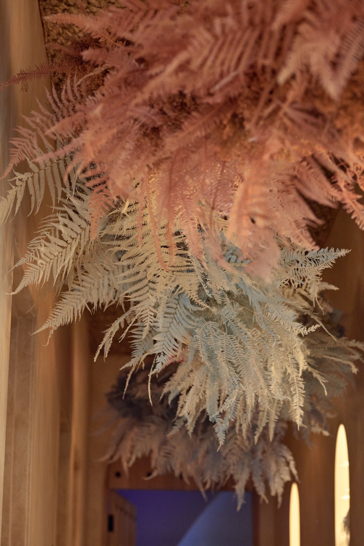 A hanging installation of dried ferns in dusty rose and ivory, lit warm, against a limewashed wall and an open doorway beyond.