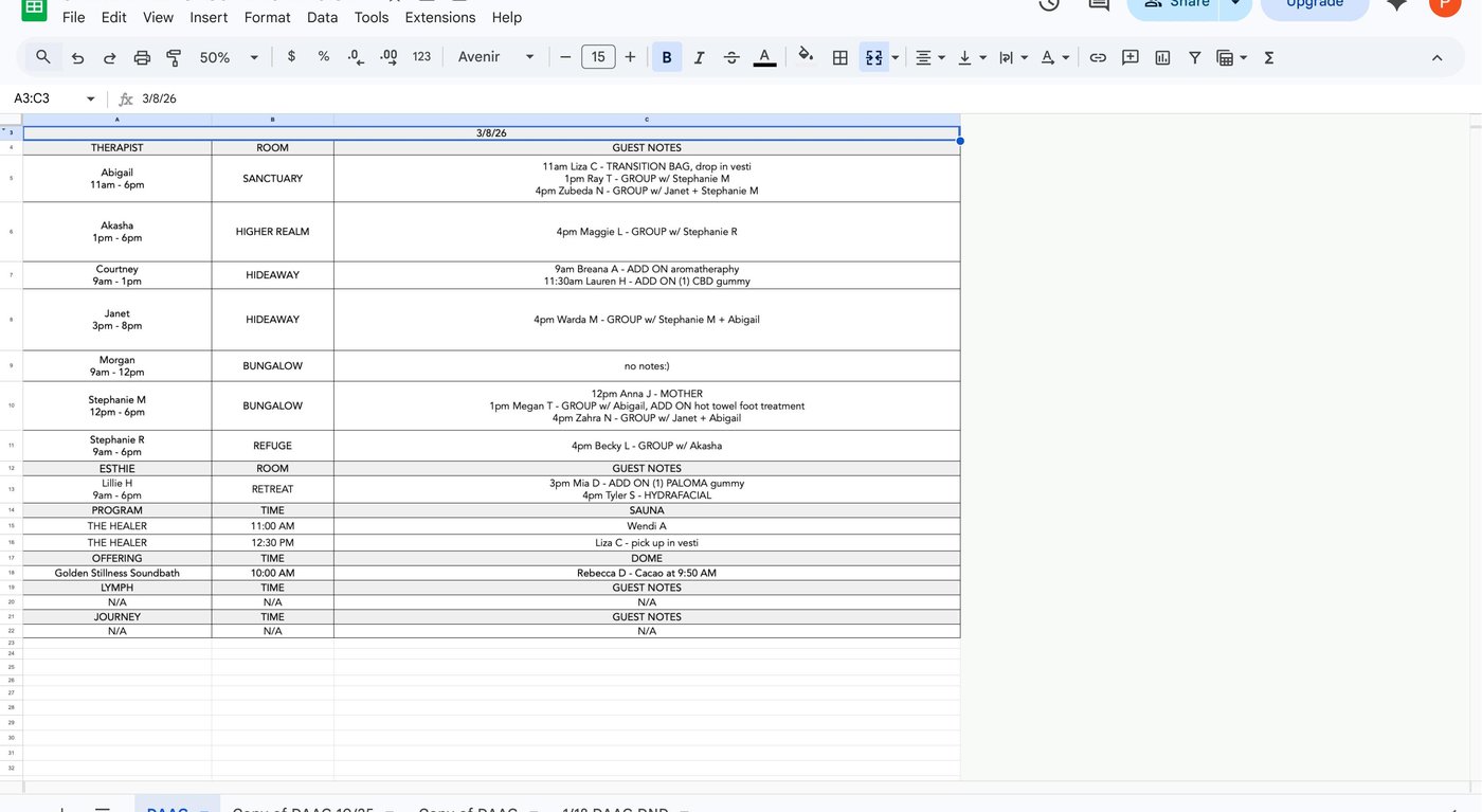 Example DAAG (Day At A Glance) spreadsheet showing therapist room assignments, guest notes, and service details